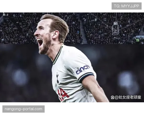 哈里·凯恩热刺时期无冠：个人表现与团队成绩落差解析